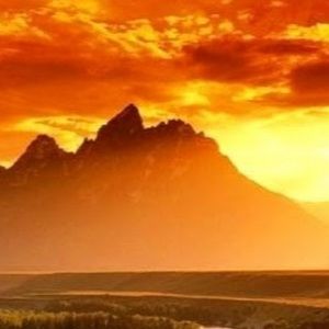 Meet your Posher, Wanda